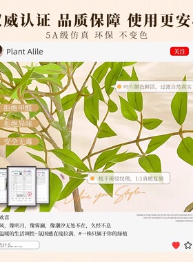 仿真植物南天竹落地盆栽室内大型仿生绿植摆件客厅轻奢装饰花假树