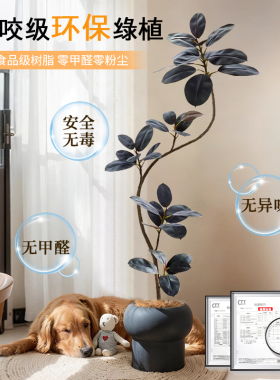 黑金刚橡皮树仿真绿植室内沙发旁假植物仿生盆栽大型客厅装饰摆件