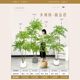 Simulated green plants, Nantianzhu indoor potted plants, large floor-standing ornaments, living room, light luxury, high-quality bionic plants, landscape