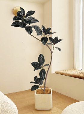 仿真绿植黑金刚橡皮树植物装饰
