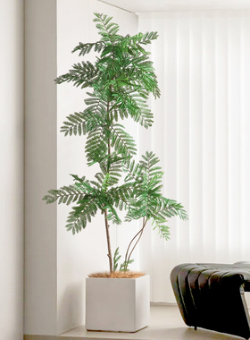 仿真绿植假植物盆栽蓝花楹装饰