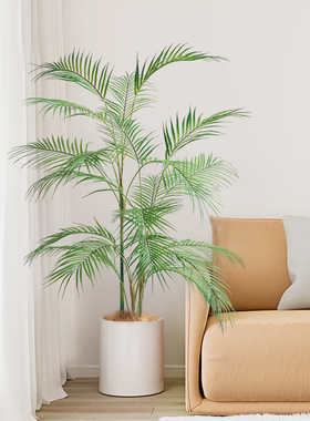 仿真绿植凤尾葵植物造景盆栽