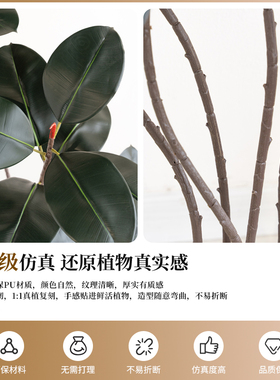 仿真绿植黑金刚橡皮树诧寂风装饰