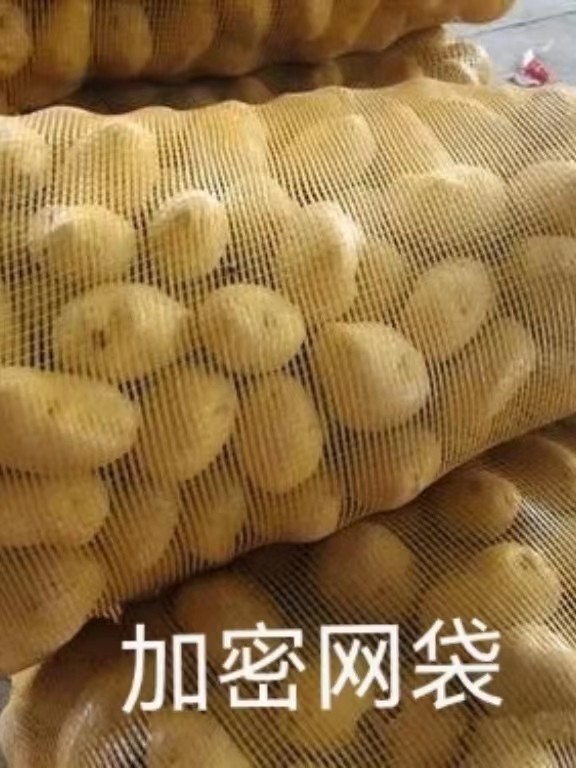 网袋装柚子橘子橙子加密网眼编织袋玉米土豆鸡鸭水果网兜网袋包邮,淘宝优惠券,粉丝福利购,淘宝优惠卷