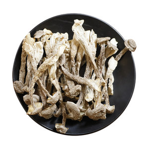 哈妞鹿茸菇干货煲汤食材特级鹿茸菌500g云南野生菌菇食用香菇蘑菇