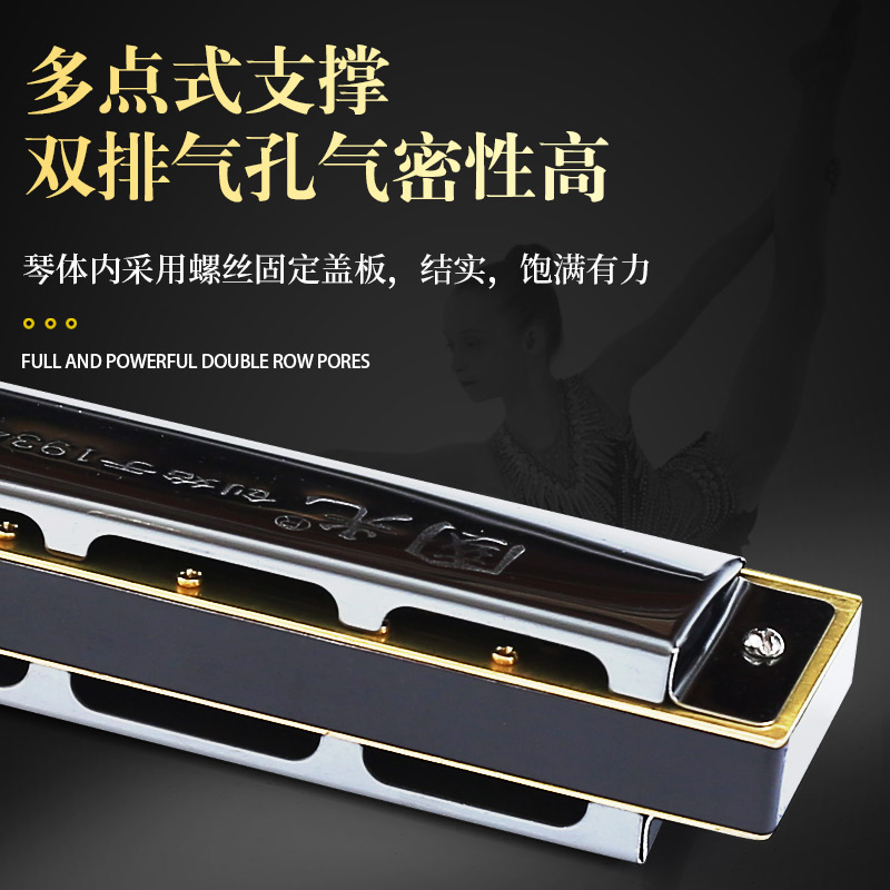 艺钛客乐器专营店国光28孔宽音域C调口琴成人学生儿童初学复音重音高级专业演奏级2