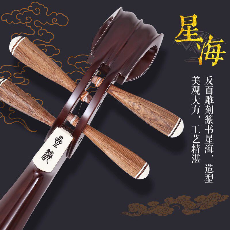  艺钛客乐器琵琶