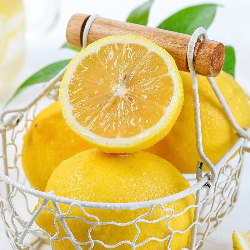 新鲜黄柠檬青柠檬组合套餐diy金桔图片_3
