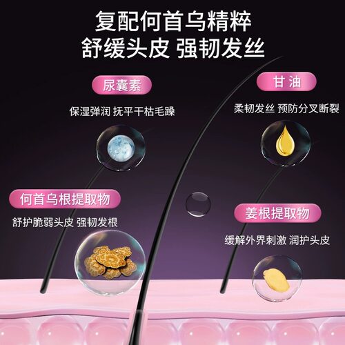 英氏黑宝瓶青少年轻盈控油蓬松洗发水学生党专用净屑舒缓防断发 L - 图2