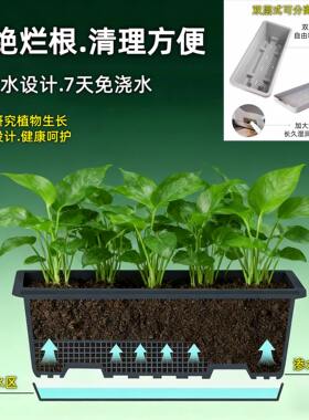 加大超厚长方形种菜盆自吸水种菜