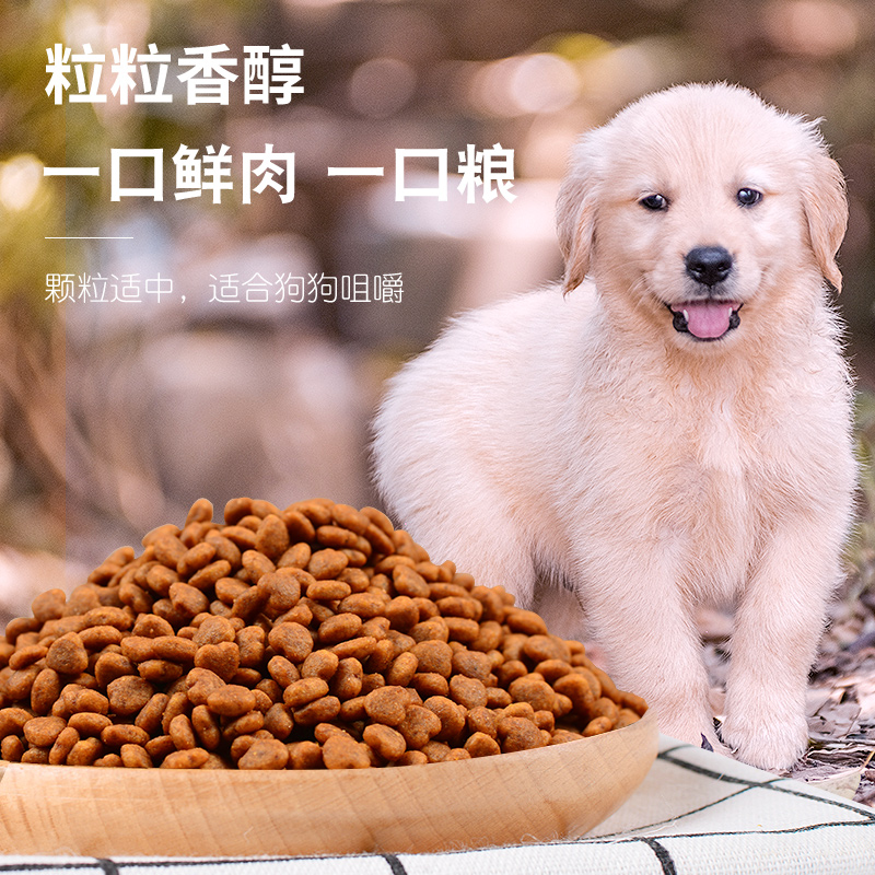 伊萨欧圣幼犬狗粮小型犬泰迪贵宾大型犬金毛萨摩耶20kg40斤通用型 - 图3