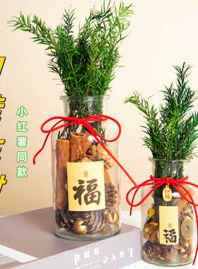 肉桂生财香薰玻璃瓶摆件聚财门招财千层金卧室办公室桌面装饰礼物