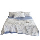 Class A four-piece ice silkworm cool summer quilt set