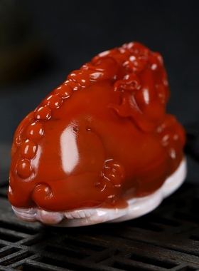 天然正宗凉山南红玛瑙柿子红貔貅吊坠步步来财原石挂件男女款P300