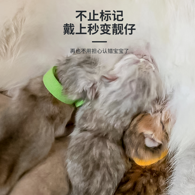 新生宠物识别圈小狗猫咪区分辨别项圈奶狗幼猫记号带绳脖子标识带-图3