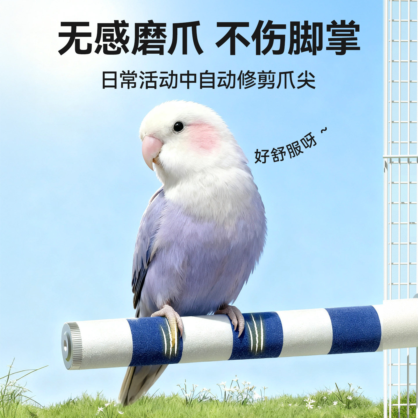 鹦鹉站杆磨砂磨爪站棍牡丹虎皮玄凤小太阳专用磨嘴棒玩具鸟用品架,淘宝优惠券,粉丝福利购,淘宝优惠卷