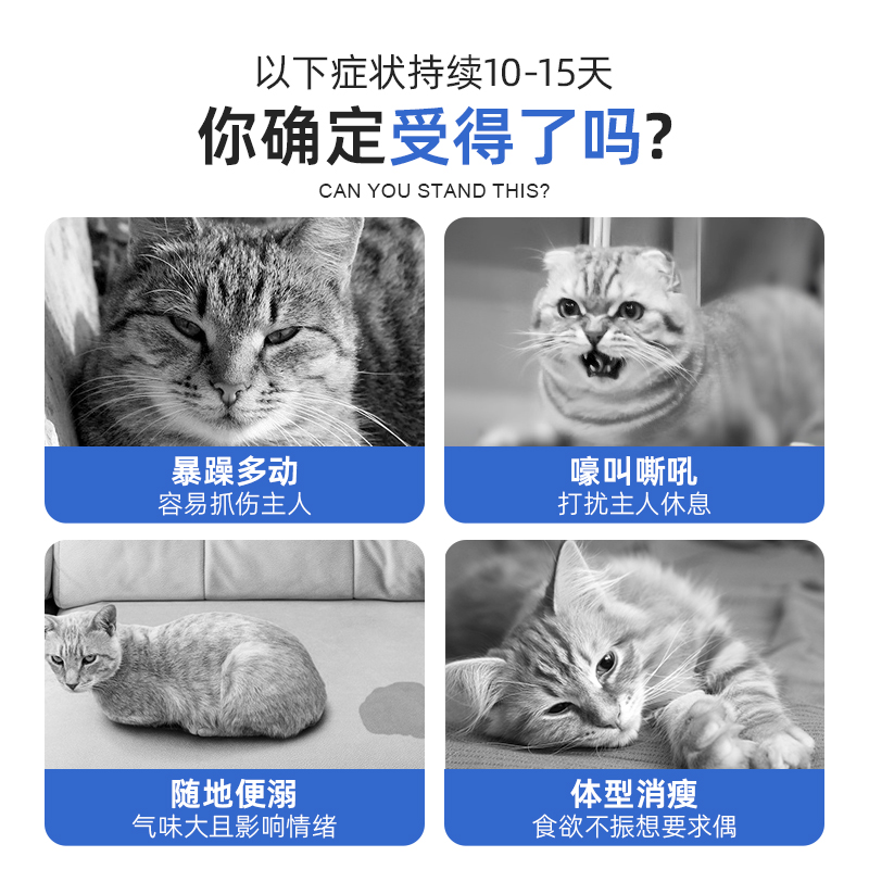 猫咪抑情片母猫专用发情期抑制非药禁情粉公猫绝情欲喵静情喷雾剂 - 图0