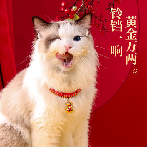 猫咪项圈新年猫铃铛长命锁围脖狗狗猫猫脖子饰品装饰脖圈宠物项链 - 图0