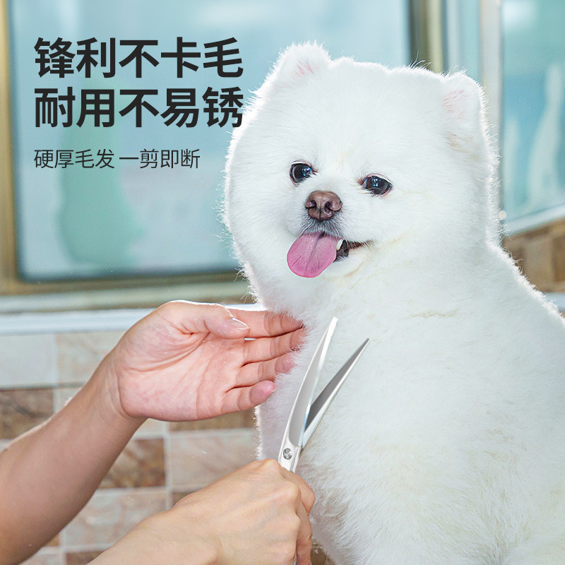 狗狗剪毛专用剪刀宠物美容剪刀修毛剪刀套装弯剪泰迪剪狗毛神器,淘宝优惠券,粉丝福利购,淘宝优惠卷