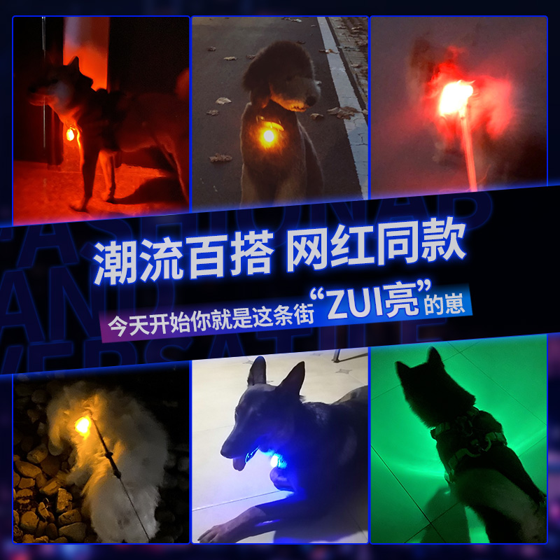 宠物LED狗狗发光吊坠夜光防走失丢灯狗牌猫咪铃铛夜间遛狗灯泰迪 - 图0