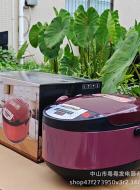 5L Rice Cooker 5L Reservation Rice Cooker