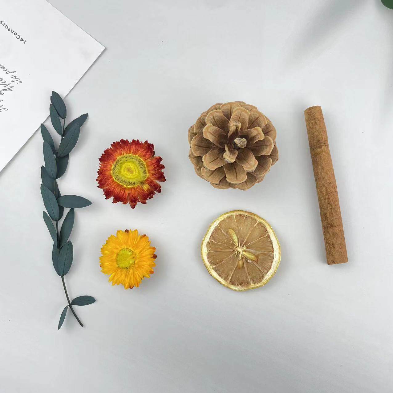 伴手礼礼盒配饰松果树叶肉桂柠檬片干花装饰材料diy植物画香薰,淘宝优惠券,粉丝福利购,淘宝优惠卷