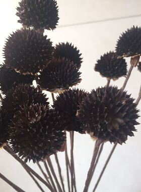 黑心菊干花植物手工香薰相框材料