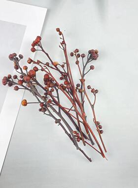 天然干花永生花果实高粱白果南蛇藤灯台果圣诞花小枝植物素材