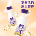 酪蛋白200ml 新希望低温牛奶牛乳A2β 12瓶纯牛奶日期新鲜