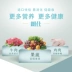 Thức ăn cho chó Langshi 5kg chó nhỏ dành cho người lớn thức ăn cho chó Mei Mao thức ăn cho chó General Teddy VIP Bomeibi Xiong Xuenerui - Chó Staples đồ ăn cho chó Chó Staples