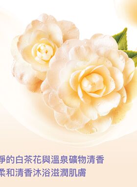 港版滴露优惠套装深层滋润沐浴乳霜白茶花950gx2+除菌洁手液150g