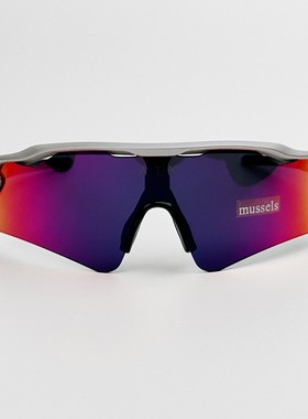 小众骑行未来风TR90材质偏光墨镜