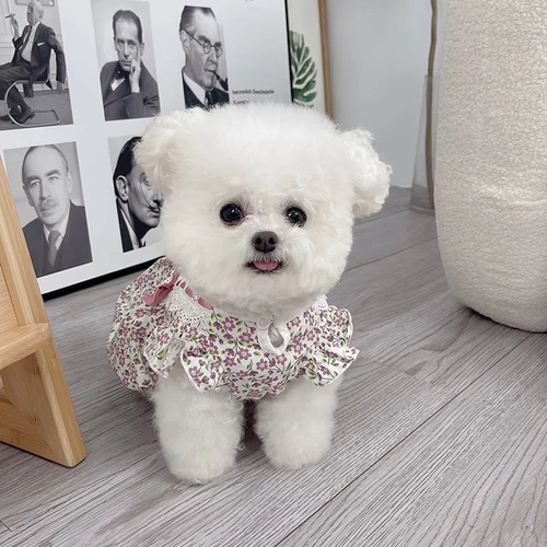 Mijia Pet Olde Spring и лето в новом стиле лук с цветочной тыквенной юбкой Тедди бишон медведь собака кошка тонкая одежда