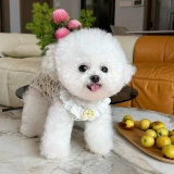 Новая одежда для домашних животных с пятью маленькими белыми медведями, всесезонный чехол для живота, эластичная домашняя хирургическая защитная одежда для живота, одежда для чехла для живота собаки