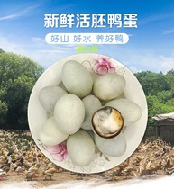 Cisfeng Fresh No Woolen Eggs Live Embryo Duck Egg Real Pat Farmhouse Loose Hatching Live Beads Duck Embryoed Egg to Live Heinemayo