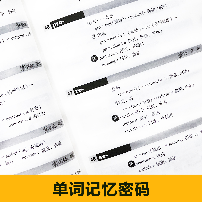 零基础英语自学入门.新手自学一本全掌握 附音频视频教学课程 少儿小学成人英语零起点发音单词语法考试学习音标读音词汇书籍教程 - 图2