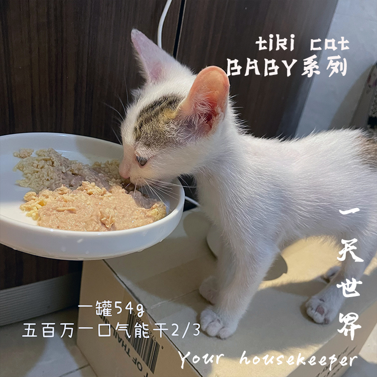 【新品幼猫】TikiCat奇迹猫BABY系列慕斯肉丝主食罐头湿粮包 猫条 - 图1