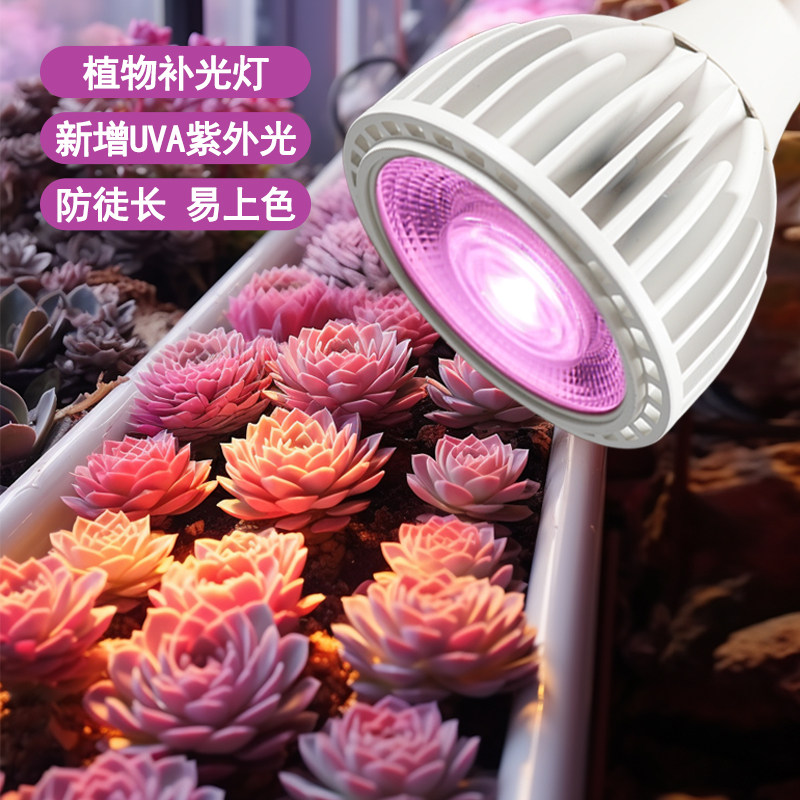 多肉补光灯全光谱Led植物生长灯仿太阳粉光室内智能草莓番茄花卉,淘宝优惠券,粉丝福利购,淘宝优惠卷