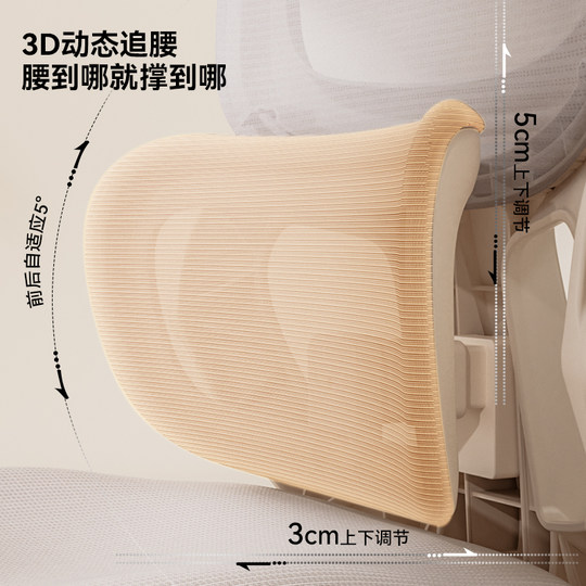 Aigole Youth Learning Chair Ergonomic Chair