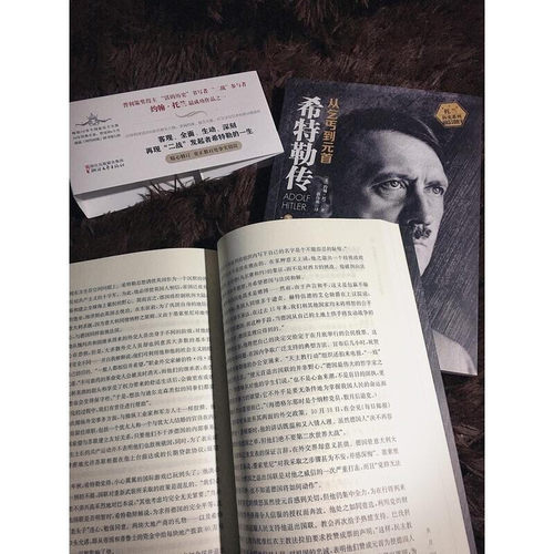 正版全3册我的奋斗希特勒传从乞丐到元首+二战战史托兰历史系列历史人物传记书通史二战书籍二次大战读物战争军事长篇小说书-图2