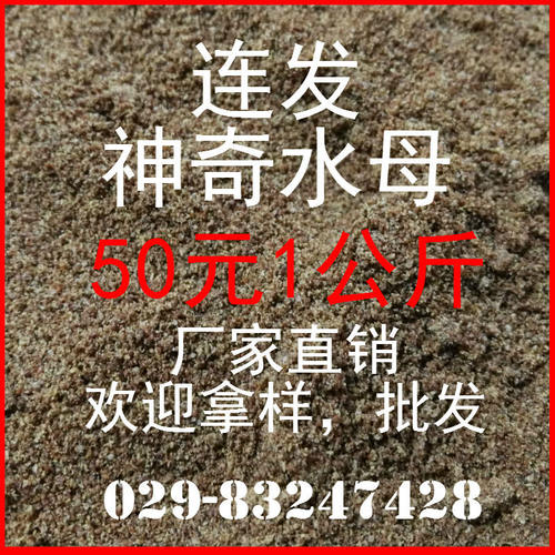 重点钓鱼水母粉状态水母粉大师丝王膨胀粉变态拉丝粉细丝蜘蛛丝王 - 图3