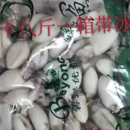 冷冻深海野生新鲜大墨鱼仔小乌贼目鱼仔可选十八斤一箱新品可包邮 - 图2