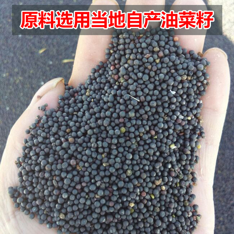 菜籽饼肥料农家自榨油枯饼菜子饼种果树园蔬菜种花有机肥钓鱼打窝,淘宝优惠券,粉丝福利购,淘宝优惠卷