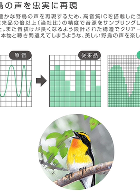日本丽声静音闹钟鸟鸣鸟叫铃声