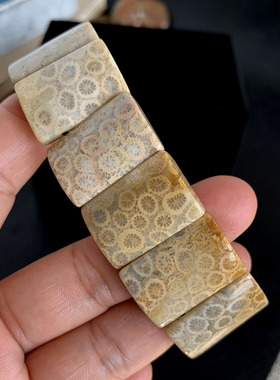 天然珊瑚玉珊瑚化石手排玉化好