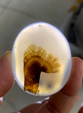 天然水草玛瑙项链草花毛衣链大号