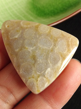 吊坠天然毛衣链珊瑚化石