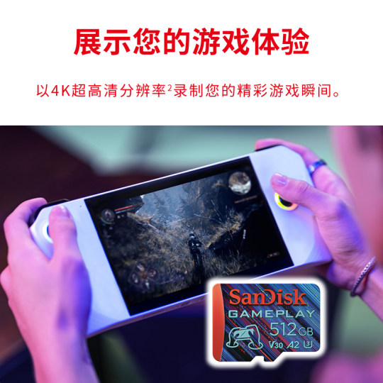 Sandisk闪迪512G内存卡GamePlay microSD存储卡switch内存卡tf卡