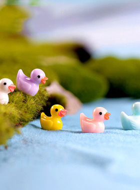 微景观创意可爱风多肉树脂工艺品