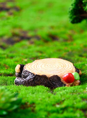 苔藓微景观蘑菇园艺盆栽小摆件